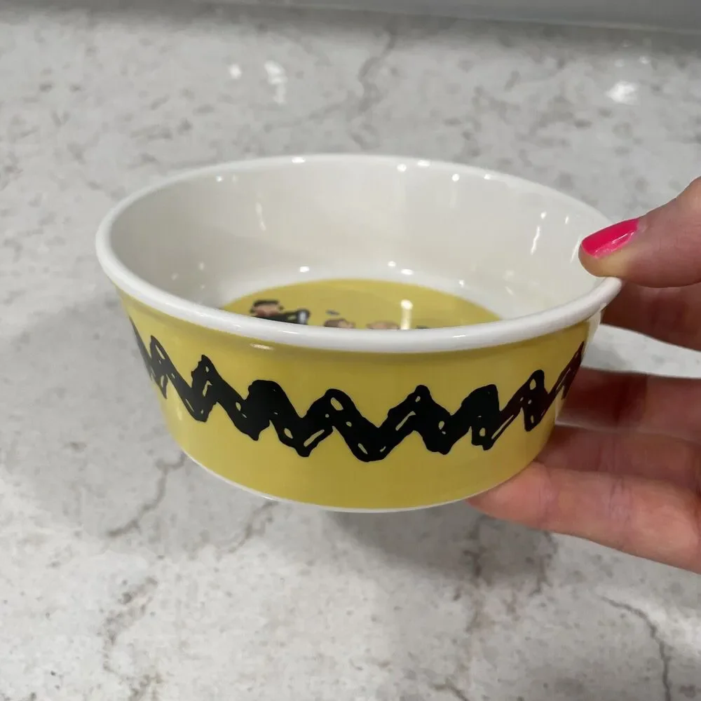 CHARLIE BROWN SNOOPY Peanuts Gang 5” Round Cartoon Print Pet Bowl Dish Dog Cat